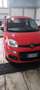 Fiat Panda 1.2 Trussardi s&s 69cv - thumbnail 13