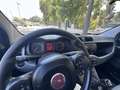Fiat Panda 1.2 Gasolina/GLP Lounge Blanc - thumbnail 9