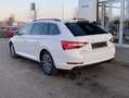 Skoda Superb Combi iV 1.4 TSI DSG Ambition STANDHEIZUN Weiß - thumbnail 3