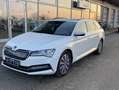 Skoda Superb Combi iV 1.4 TSI DSG Ambition STANDHEIZUN Weiß - thumbnail 9