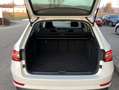 Skoda Superb Combi iV 1.4 TSI DSG Ambition STANDHEIZUN Weiß - thumbnail 5