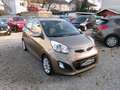 Kia Picanto Picanto 1,2 MPI Active Braun - thumbnail 2
