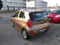 Kia Picanto Picanto 1,2 MPI Active Braun - thumbnail 4