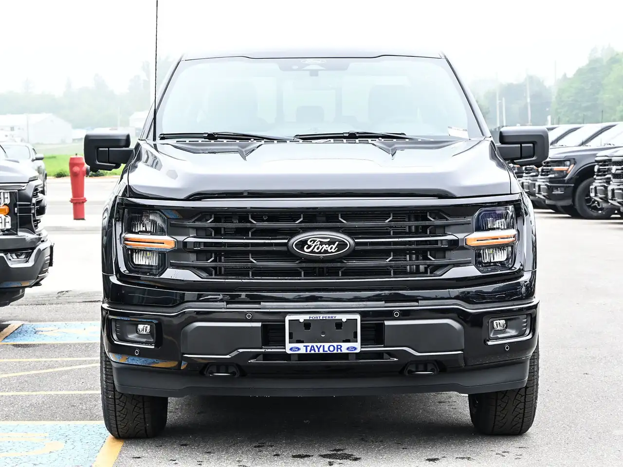 Ford F 150 fotografie Ford F 150