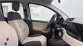 Fiat Panda 1.2 TÜV,KLIMA,1-HAND,22.000KM Gris - thumbnail 19