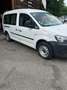 Volkswagen Caddy MAXI  DSG Distribution neuve  GARANTIE 12 MOIS Blanc - thumbnail 2