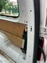 Volkswagen Caddy MAXI  DSG Distribution neuve  GARANTIE 12 MOIS Blanc - thumbnail 17