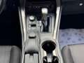 Lexus NX 300h Sport Edition 2017 AUT NAVI CAMERA LM NAP! Grijs - thumbnail 38