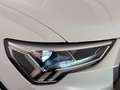 Audi Q3 35 2.0 tdi business advanced s-tronic Weiß - thumbnail 11