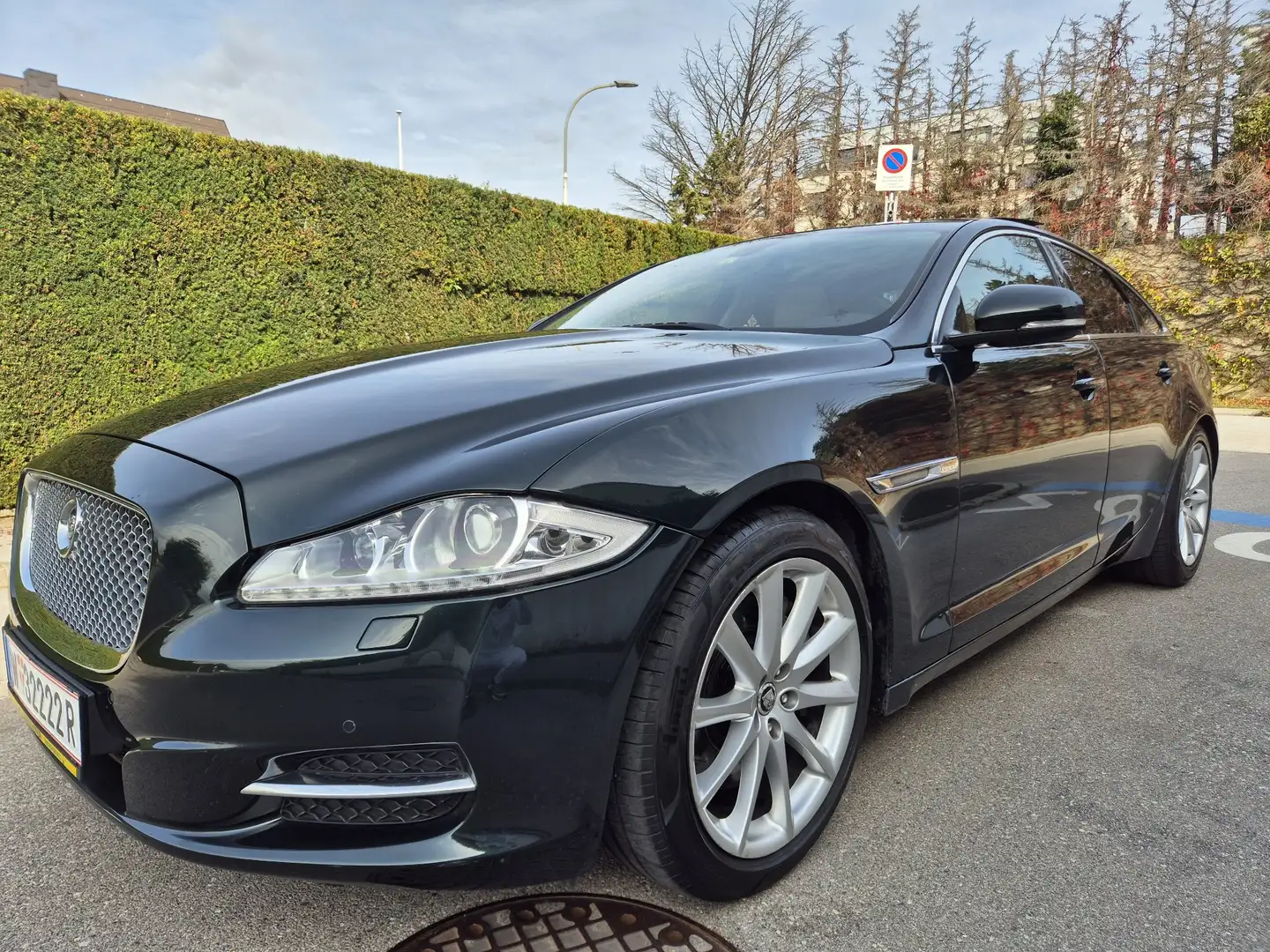 Jaguar XJ 3,0 V6 Ds. Portfolio Injektor defekt - 1