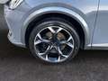 CUPRA Formentor VZ 2.0 TSI 4Dr DSG *Leder*el Sitz*Beats* Grau - thumbnail 22