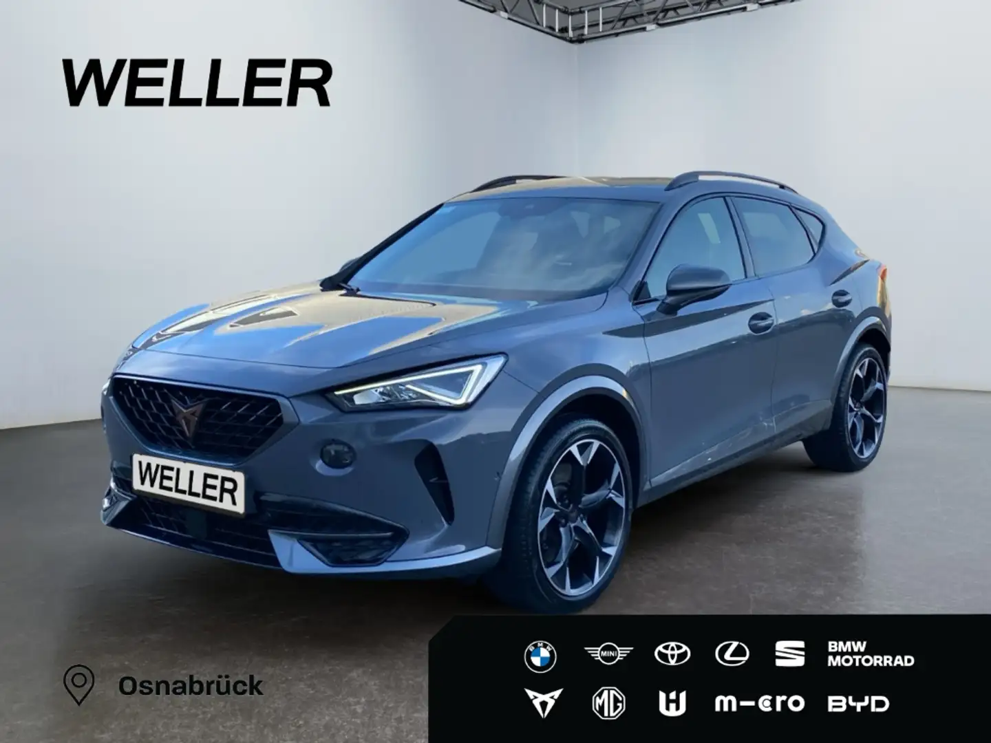 CUPRA Formentor VZ 2.0 TSI 4Dr DSG *Leder*el Sitz*Beats* Grau - 1