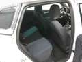 SEAT Ibiza 1.0TSI FR LED Navi PDC Sportsitze 16" SHZ Weiß - thumbnail 6