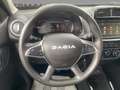 Dacia Spring Electric 45  Essential *NAVI*Leder*Kamera Серый - thumbnail 10