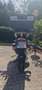 BMW R 1200 GS Blanco - thumbnail 9