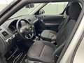 Skoda Yeti 4x4 Twenty Ambition 2,0 TDI  * SOFORT FINANZIER... Weiß - thumbnail 9