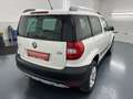 Skoda Yeti 4x4 Twenty Ambition 2,0 TDI  * SOFORT FINANZIER... Weiß - thumbnail 5