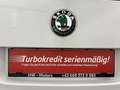 Skoda Yeti 4x4 Twenty Ambition 2,0 TDI  * SOFORT FINANZIER... Weiß - thumbnail 14