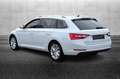 Skoda Superb 2.0 TDI DSG Wagon Style Bianco - thumbnail 4