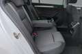 Skoda Superb 2.0 TDI DSG Wagon Style Bianco - thumbnail 8