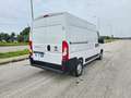 Fiat Ducato 30 2.3 MJT 120CV PM-TM Furgone Bianco - thumbnail 6