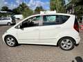 Mercedes-Benz A 160 BlueEFFICIENCY, JUNGE STERNE; SH , Bianco - thumbnail 8