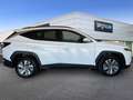 Hyundai TUCSON III 2021 1.6 hev Xline 2wd auto Bianco - thumbnail 4