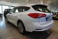 Ford Focus 1.5 EcoBlue Titanium Sportsitze/Navi/Kamera/LED Weiß - thumbnail 4