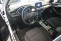 Ford Focus 1.5 EcoBlue Titanium Sportsitze/Navi/Kamera/LED Weiß - thumbnail 7
