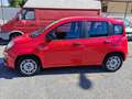 Fiat Panda 1.2 Actual 69cv E5 - thumbnail 11