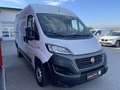 Fiat Ducato Ducato Maxi 35 L2H2 140 CNG Weiß - thumbnail 6