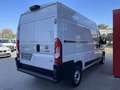 Fiat Ducato Ducato Maxi 35 L2H2 140 CNG Weiß - thumbnail 8