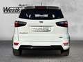 Ford EcoSport ST-Line 1,0 EcoBoost Schiebedach Teilleder Bang-Ol Weiß - thumbnail 4