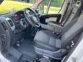 Fiat Ducato Ducato Maxi Shuttle L4H2 Natural Power Blanc - thumbnail 6