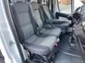 Fiat Ducato Ducato Maxi Shuttle L4H2 Natural Power Blanc - thumbnail 9
