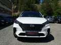 Hyundai TUCSON 1.6 CRDI 136 Ch N-LINE DCT-7 Weiß - thumbnail 11