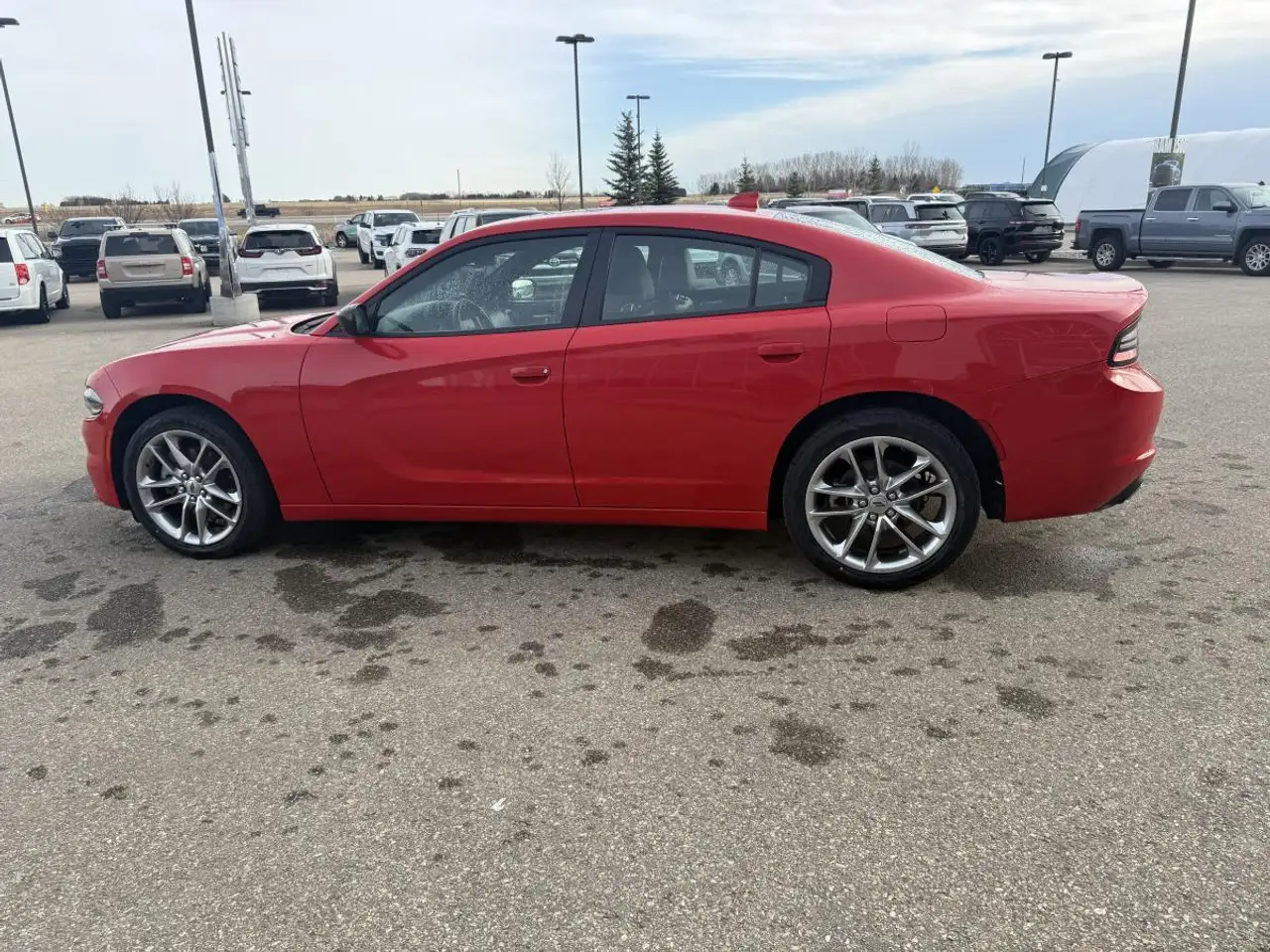 Dodge Charger снимка Dodge Charger