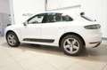 Porsche Macan S Sport Design Pano+Bose+SHZ+LED-Matrix Weiß - thumbnail 3