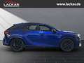 Lexus RX 500h h F-SPORT+ 4x4 Panorama Blau - thumbnail 5