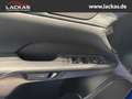 Lexus RX 500h h F-SPORT+ 4x4 Panorama Blau - thumbnail 11