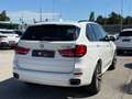 BMW X5 xDrive 40d M Sport *Assist*360Kamera* Weiß - thumbnail 5