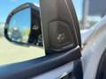 BMW X5 xDrive 40d M Sport *Assist*360Kamera* Weiß - thumbnail 12