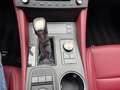 Lexus RC 300h F SPORT Line '' zeer mooi '' Grijs - thumbnail 23