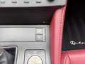 Lexus RC 300h F SPORT Line '' zeer mooi '' Grijs - thumbnail 22