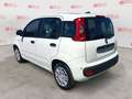 Fiat Panda 1.0 FireFly S&S Hybrid Bianco - thumbnail 6