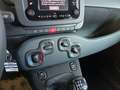 Fiat Panda 1.0 FireFly S&S Hybrid Bianco - thumbnail 15