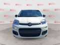 Fiat Panda 1.0 FireFly S&S Hybrid Bianco - thumbnail 2