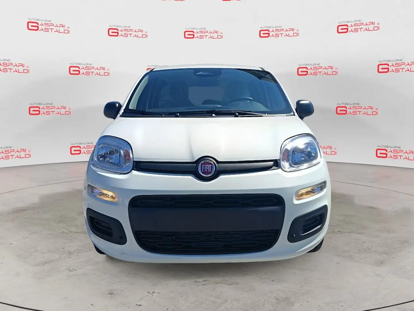 Fiat Panda 1.0 FireFly S&S Hybrid Bianco - 2