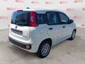 Fiat Panda 1.0 FireFly S&S Hybrid Bianco - thumbnail 4