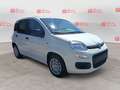 Fiat Panda 1.0 FireFly S&S Hybrid Bianco - thumbnail 3